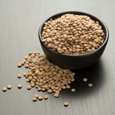 Brown Lentils