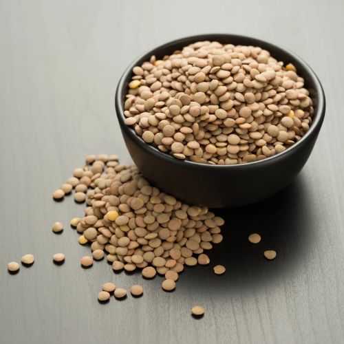 Brown Lentils